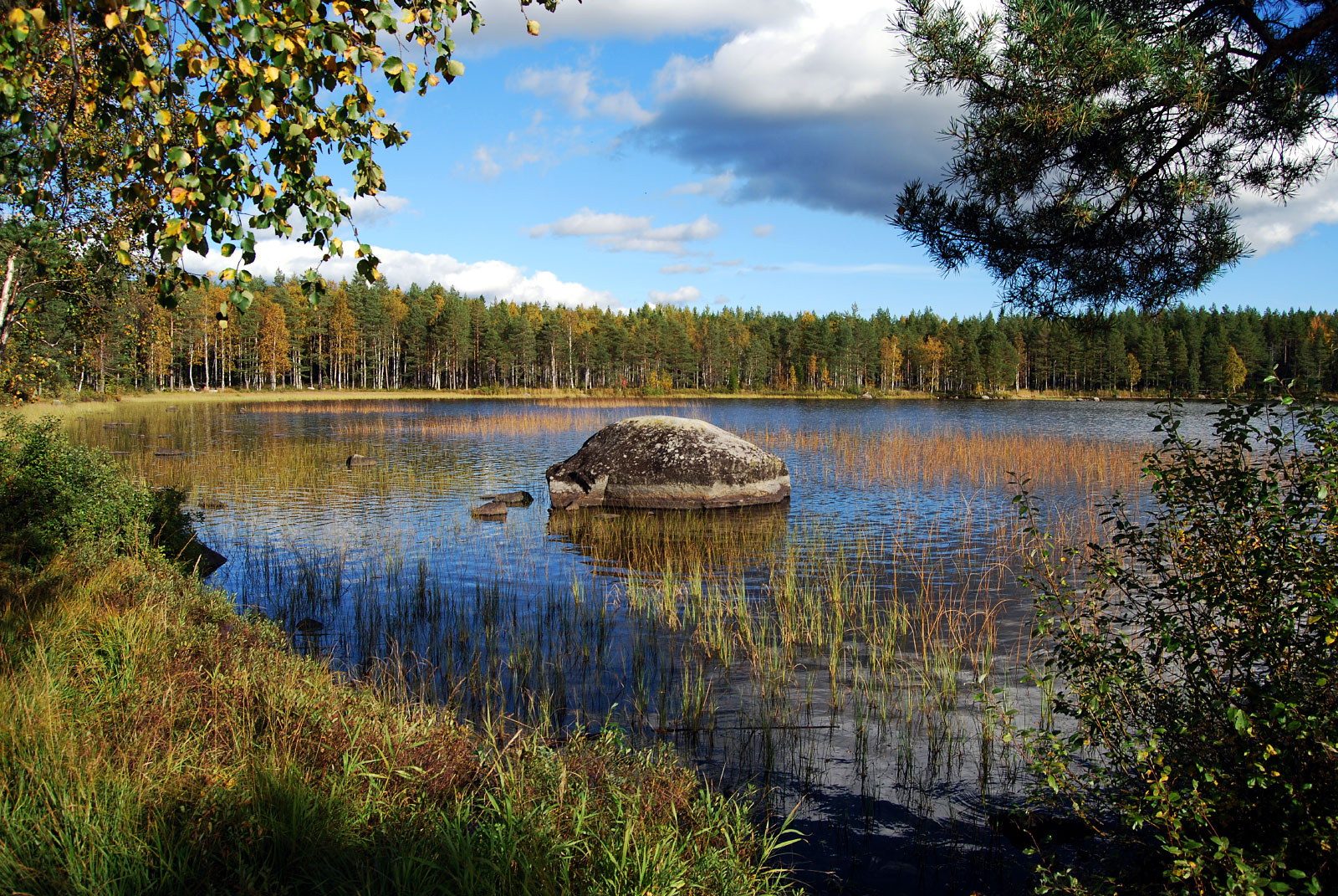 Nydalasjön, Umeå